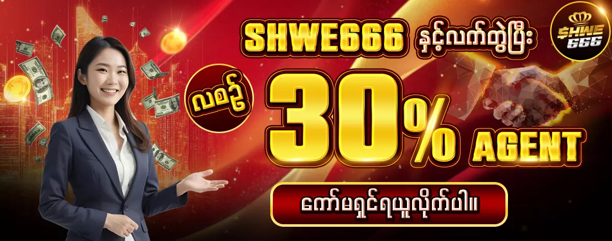 AnyConv.com__30% Agent 1200